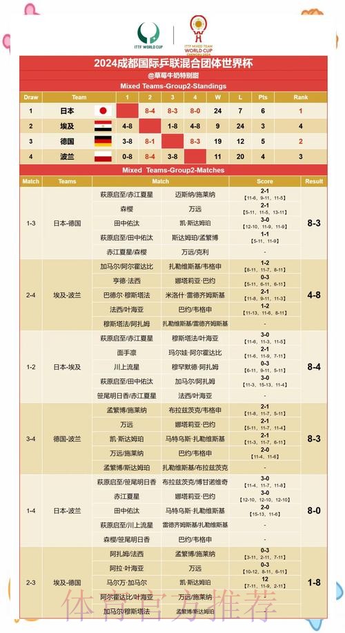 最新世界杯比赛结果分析与回顾